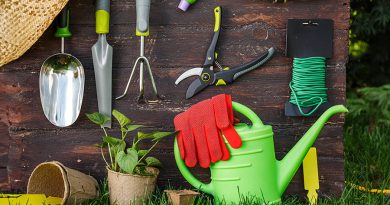 Les meilleurs outils de jardin indispensables pour petits budgets